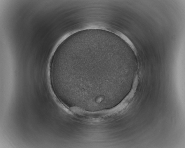 X0000115401096200911101507