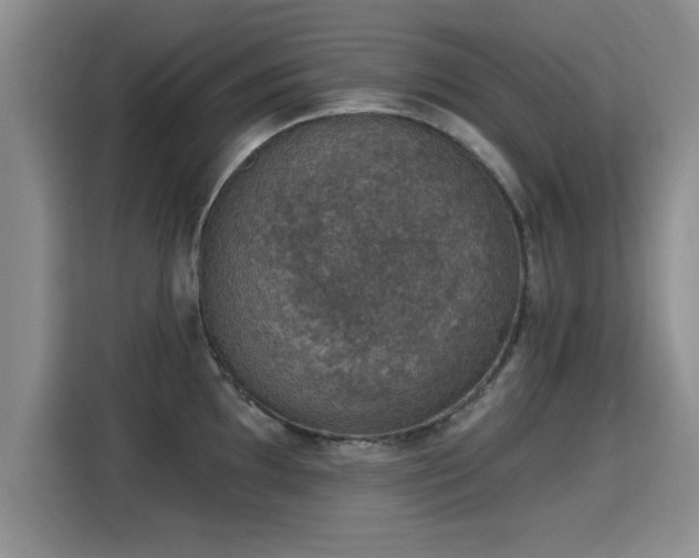 X0000115401097200911101507