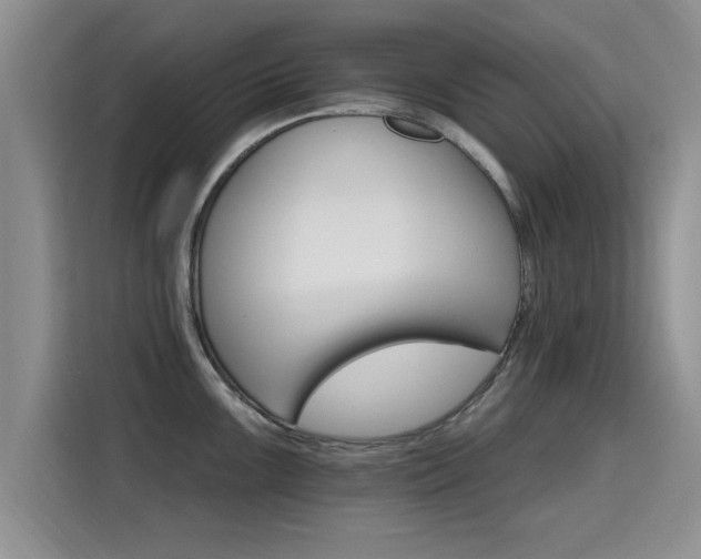 X0000115401099200911101507