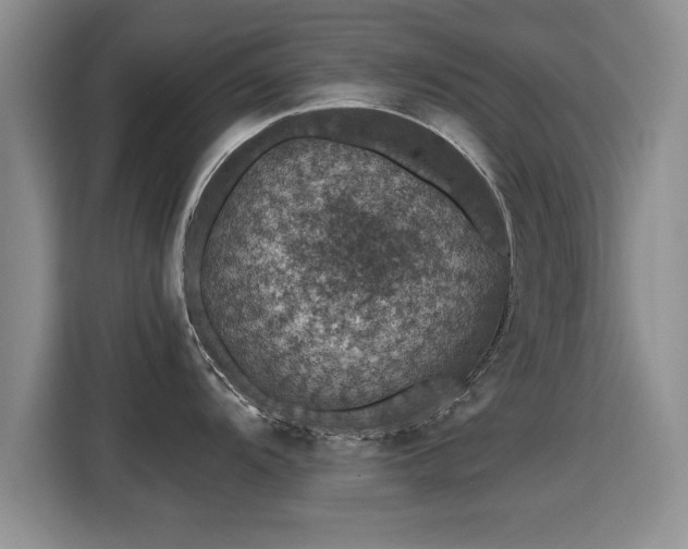 X0000115401104200911101507