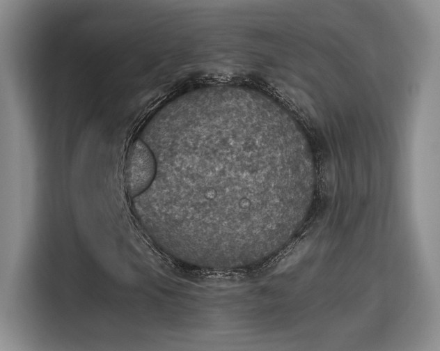X0000115401105200911101506