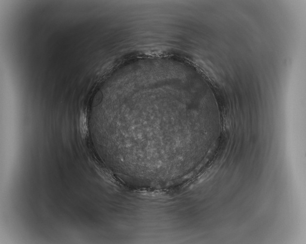 X0000115401106200911101506