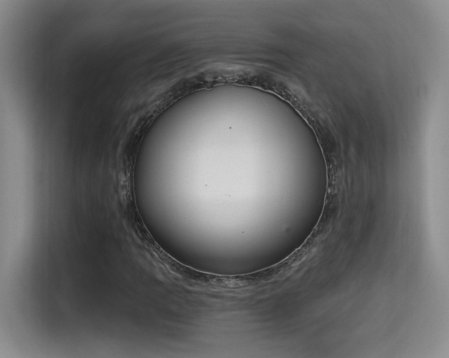 X0000115401109200911101506