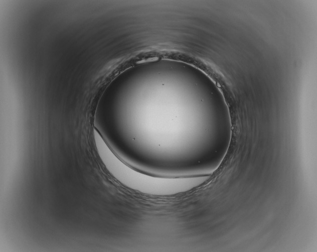 X0000115401110200911101506
