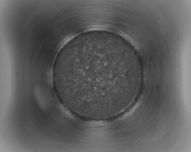 X0000115401121200911101507