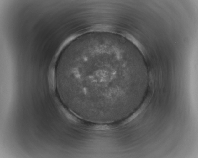 X0000115401123200911101507