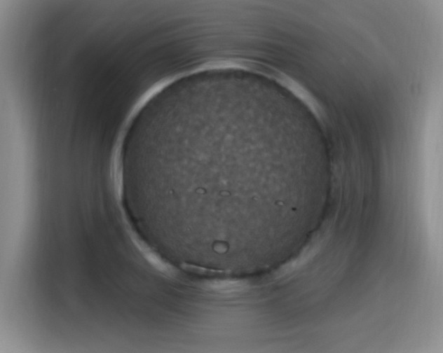 X0000115401127200911101507