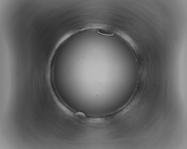 X0000115401135200911101507