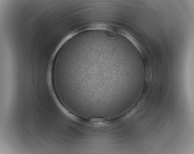 X0000115401139200911101507