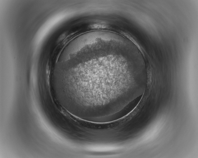 X0000115401151200911101507