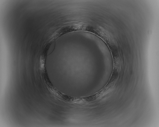 X0000115401154200911101506