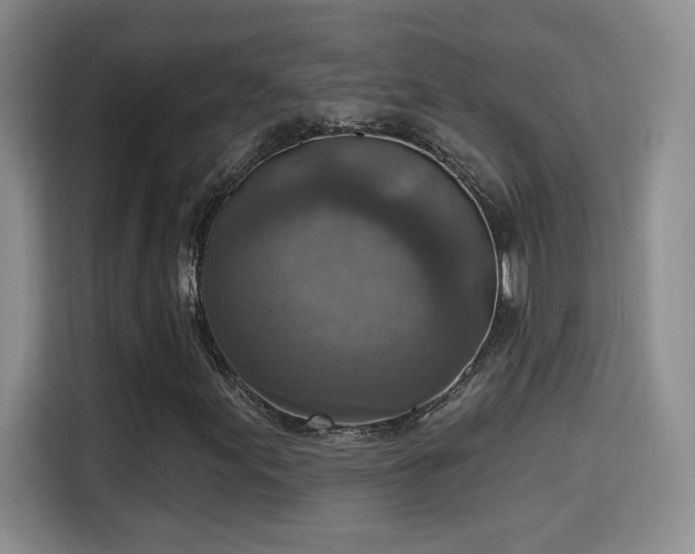 X0000115401155200911101506