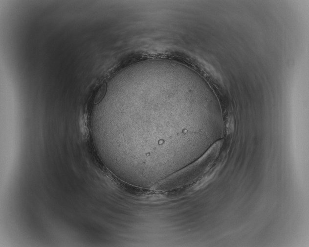 X0000115401156200911101506