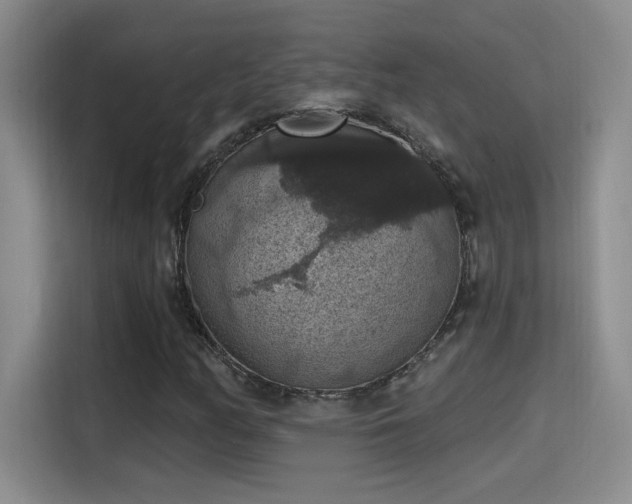 X0000115401158200911101506