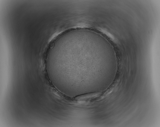 X0000115401160200911101506