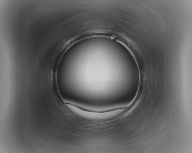 X0000115401161200911101506