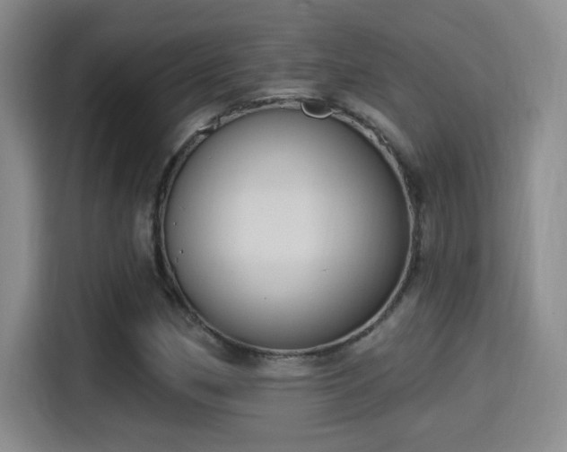 X0000115401162200911101506