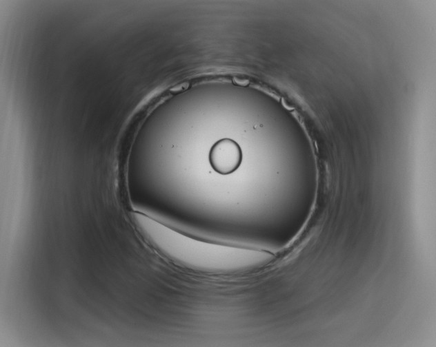 X0000115401165200911101506