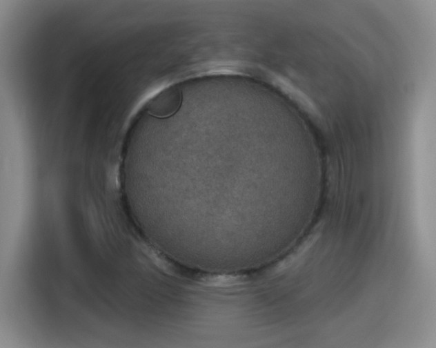 X0000115401166200911101506