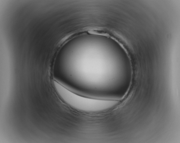 X0000115401169200911101506