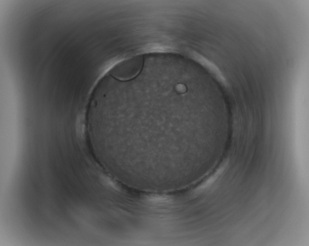 X0000115401170200911101506