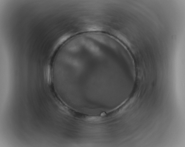 X0000115401171200911101506