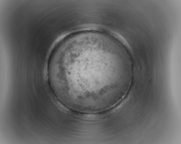 X0000115401172200911101506