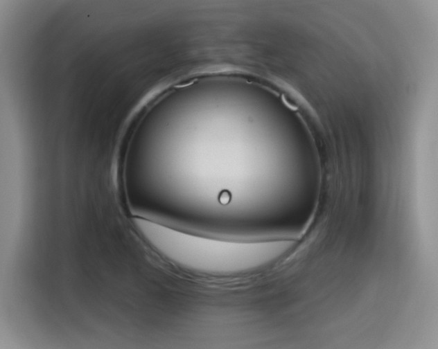 X0000115401173200911101506