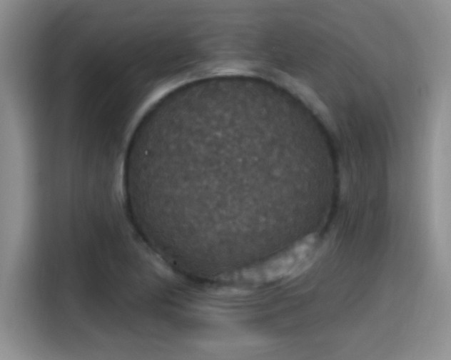X0000115401174200911101506