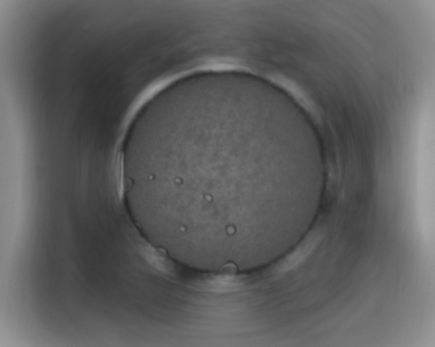 X0000115401175200911101506