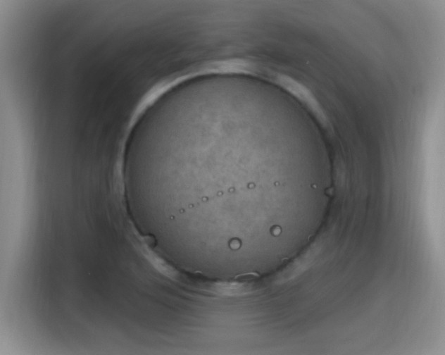 X0000115401176200911101506