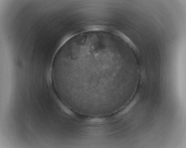 X0000115401178200911101506