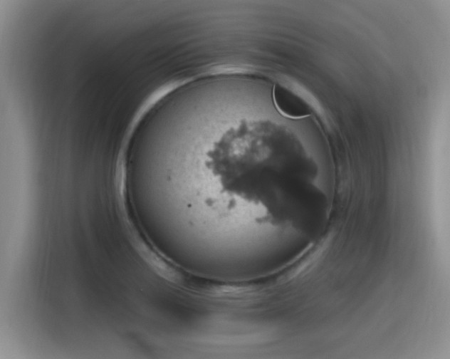X0000115401179200911101506