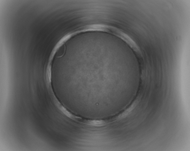 X0000115401180200911101506