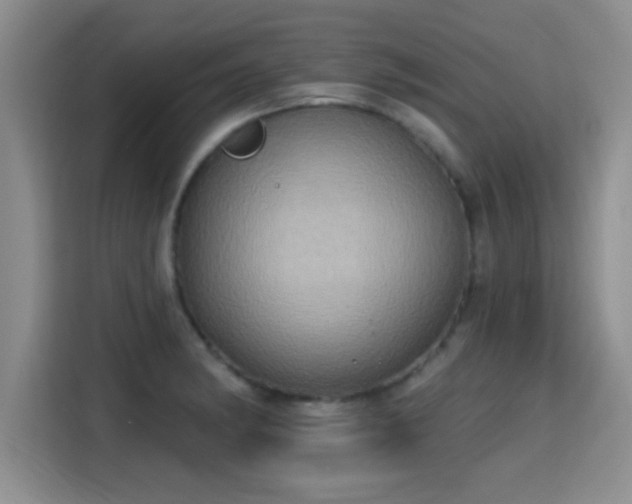 X0000115401182200911101506