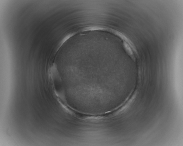 X0000115401185200911101506