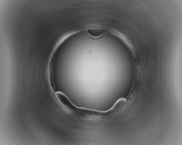 X0000115401187200911101506