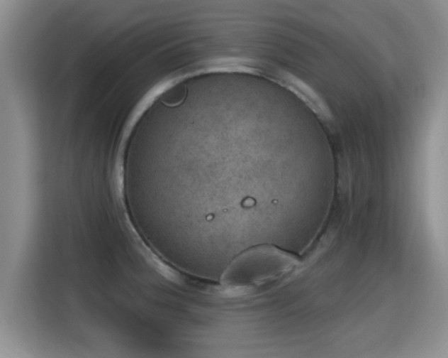 X0000115401188200911101506