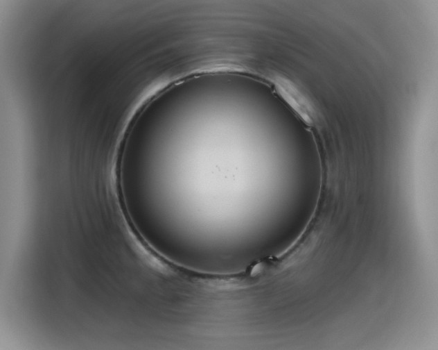 X0000115401189200911101506