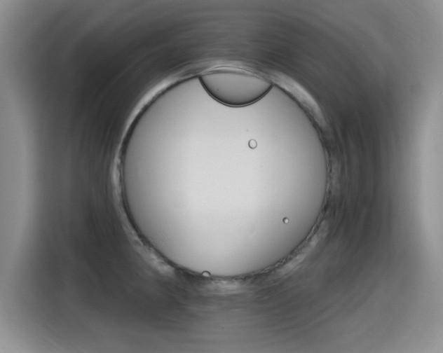 X0000115401190200911101506