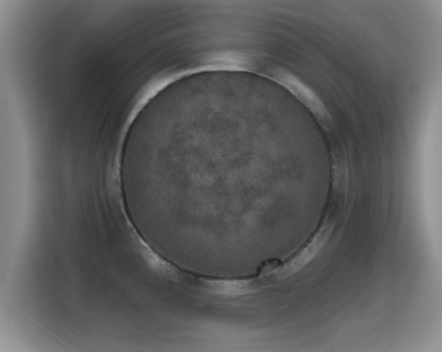 X0000115401192200911101506