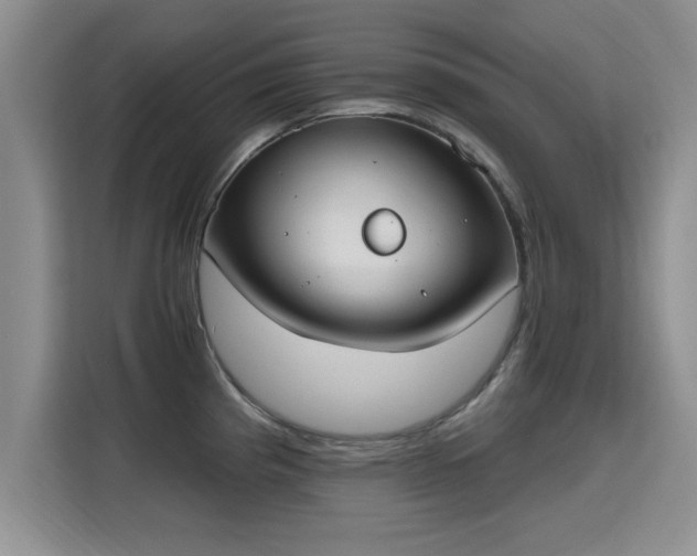 X0000115401193200911101506