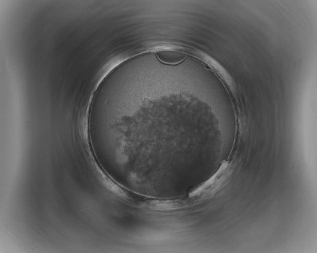 X0000115401194200911101506