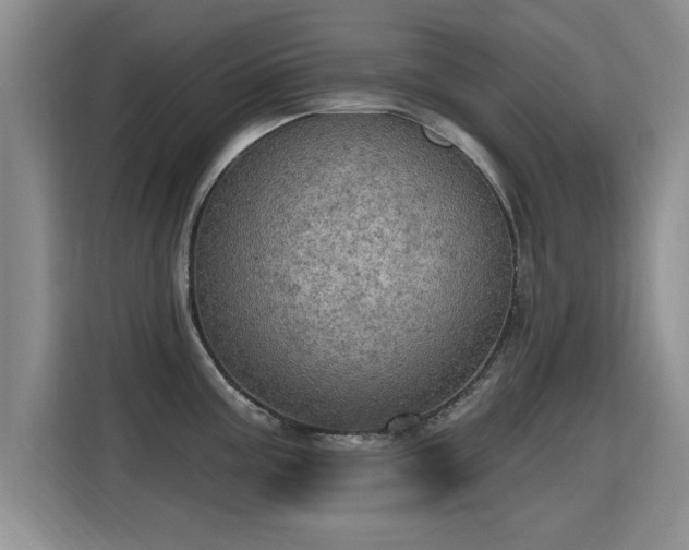 X0000115401195200911101506