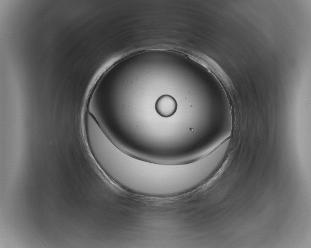 X0000115401196200911101506