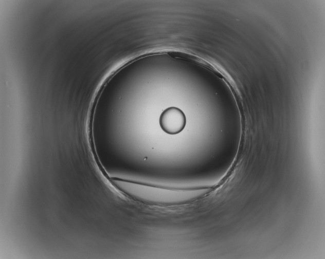 X0000115401197200911101506