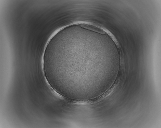 X0000115401199200911101506