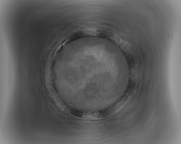 X0000115401201200911101505