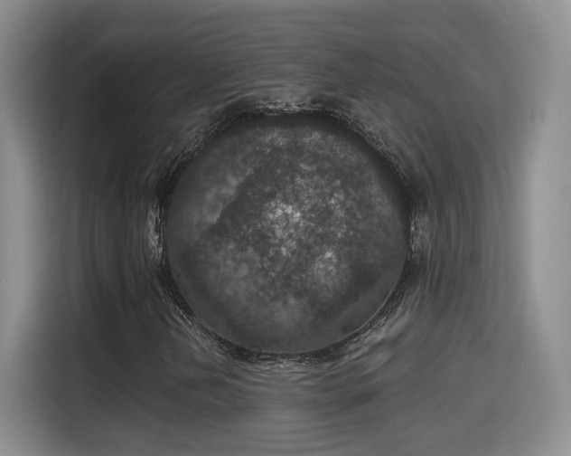 X0000115401202200911101505
