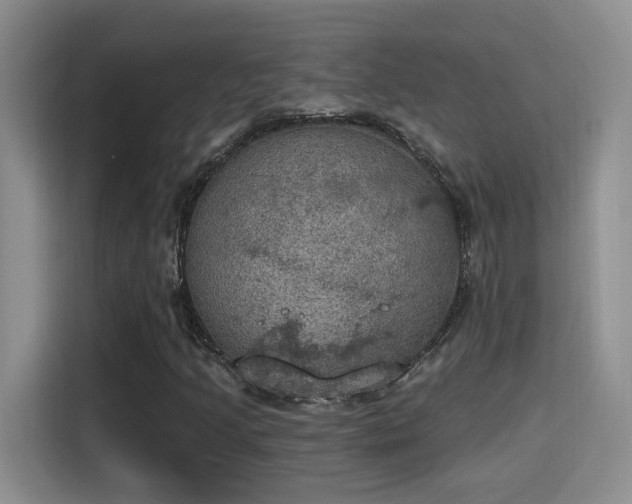 X0000115401205200911101505